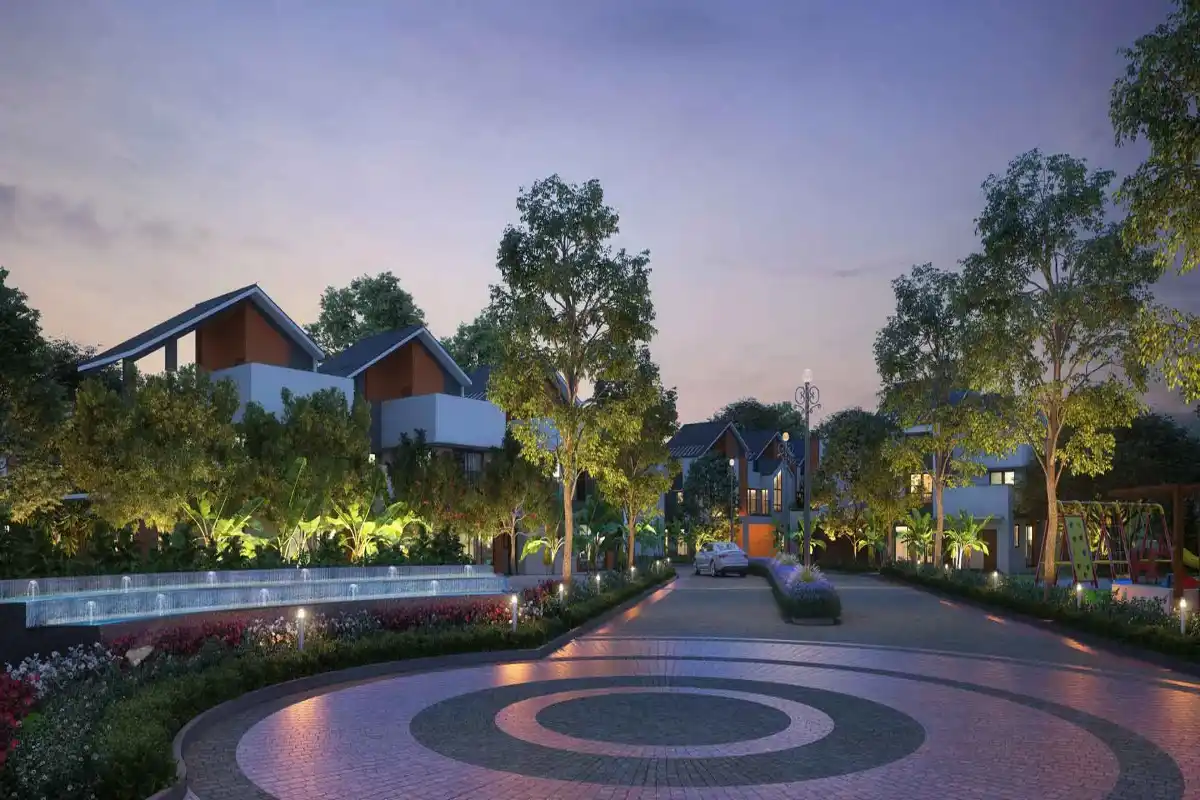 nvt a wonderful world driveway