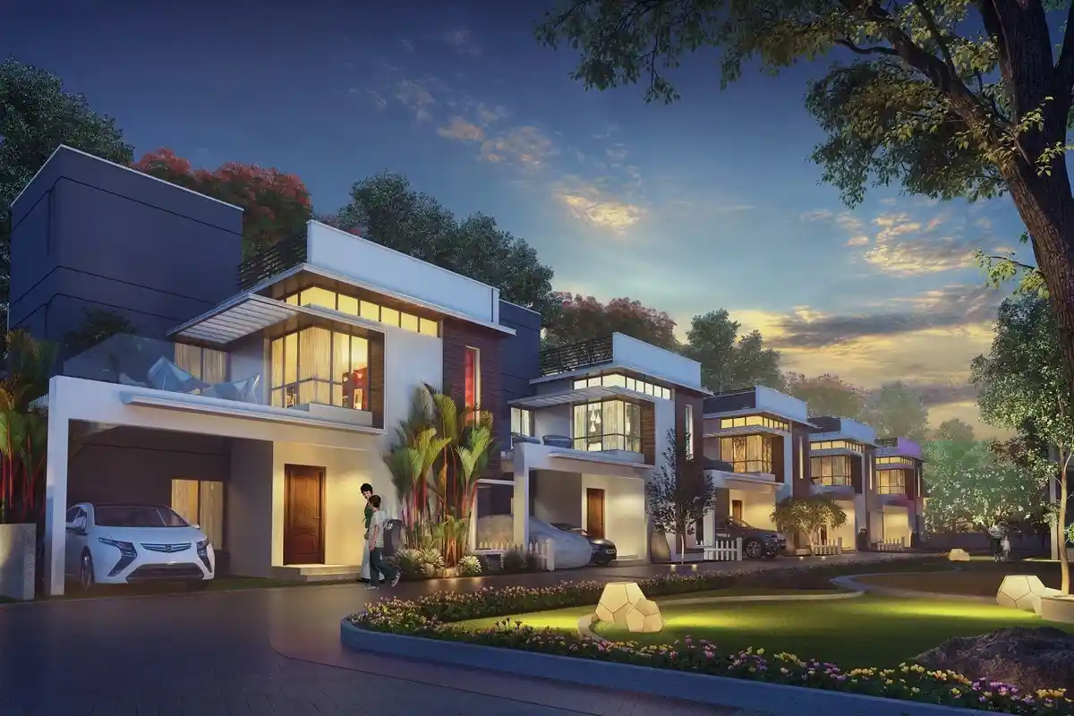 nvt a wonderful world launch date phase 1